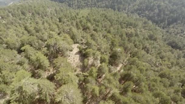 Kıbrıs Troodos Dağına Havadan Orman Atışı — Stok video