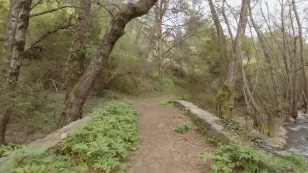 Tiro Mão Andando Através Uma Ponte Medieval Uma Floresta — Vídeo de Stock