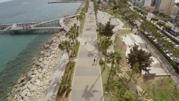 Aerial Napowietrznych Strzał Palmy Plaży Limassol Cyprze — Wideo stockowe