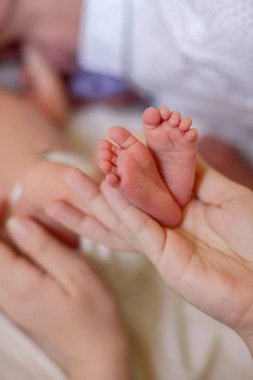 Annesinin elleri yenidoğan ayakları tutun. Temiz, yumuşak topuklu. Ayak The Childs ayaklar.