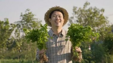 4 k mutlu Asya çiftçi hasat taze sebze onun çiftliğinde