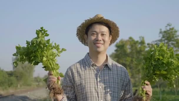 スローモーション 有機農場で幸せのアジア農民収穫新鮮な野菜 — ストック動画