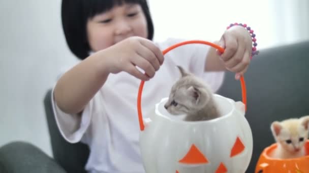 Ευτυχισμένο Κορίτσι Της Ασίας Παίζοντας Κρυφτό Μικρό Γατάκι Μέσα Κολοκύθας — Αρχείο Βίντεο