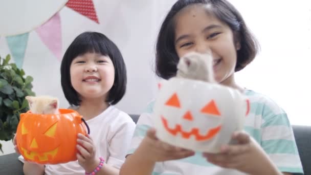 慢动作4K 快乐的亚洲女孩玩捉迷藏与小猫在南瓜桶 快乐的万圣节 — 图库视频影像
