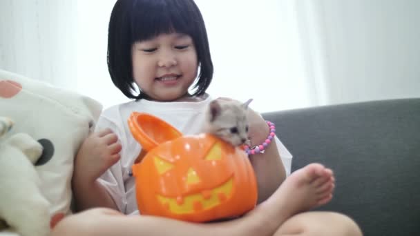 Zeitlupe Glücklich Asiatische Mädchen Spielen Verstecken Mit Kleinen Kätzchen Kürbis — Stockvideo
