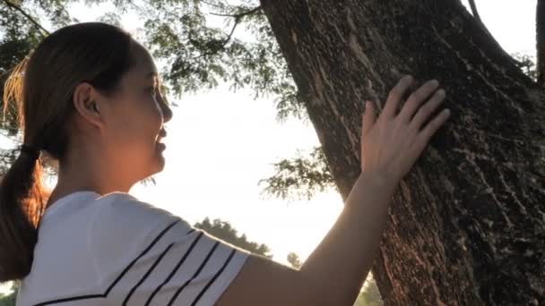 Câmera Lenta Mulher Asiática Tocando Tronco Árvore Floresta Humano Cuidar — Vídeo de Stock