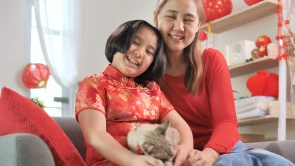 の中国人を慎重に彼女の子猫を保持 スローモーション撮影 — ストック動画