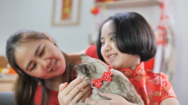 Kineser Håller Hennes Kattunge Försiktigt Slow Motion Sköt — Stockvideo