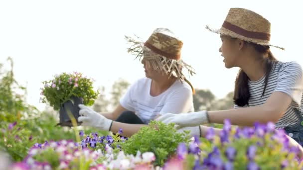Movimento Lento Mãe Asiática Feliz Filha Plantando Flor Juntos Jardim — Vídeo de Stock