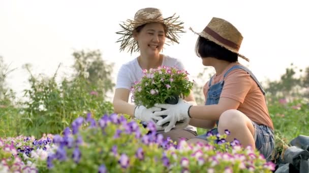 Slow Motion Happy Asian Mother Daughter Planting Flower Together Garden — Stock Video