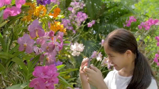快乐的亚洲女孩享受盛开的花朵 并拍照 慢动作拍摄 — 图库视频影像