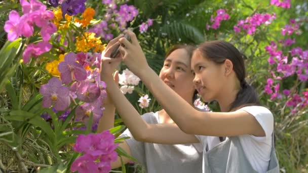 Menina Asiática Feliz Mãe Desfrutando Flores Florescentes Tirar Uma Foto — Vídeo de Stock