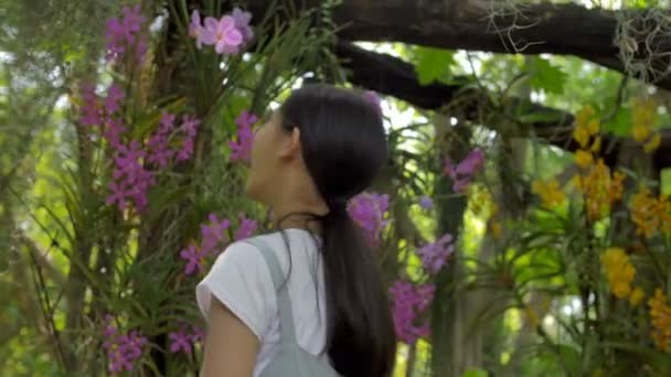 Ευτυχισμένο Κορίτσι Της Ασίας Απολαμβάνοντας Ανθισμένα Λουλούδια Στον Καλοκαιρινό Κήπο — Αρχείο Βίντεο
