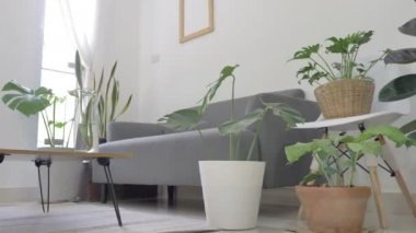 Dolly çekim Yavaş hareket, Cozy Modern Oturma Odası İç