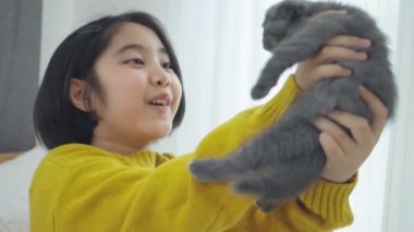 Sevimli kedi yavrusu ile oynayan Lovely Asya kız yakın çekim, Pretty kız yakından kapalı bir kedi tutarak