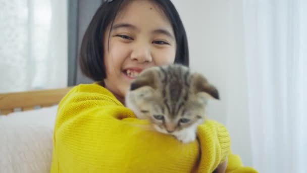 可愛い子猫と遊ぶ可愛いアジアの女の子のクローズアップ 密かに屋内で猫を抱くかわいい女の子 — ストック動画