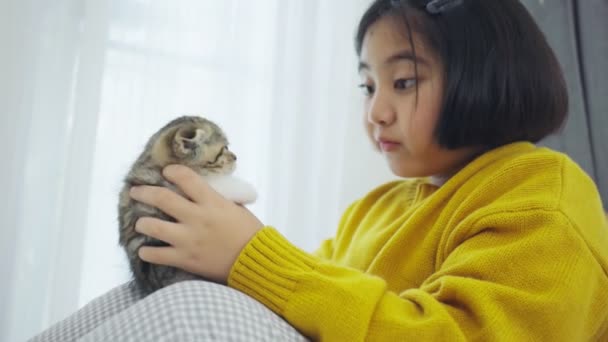 可爱的 可爱的 漂亮女孩抱着猫紧室内 — 图库视频影像