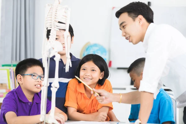 Ázsiai Tanár Elmagyaráz Egy Emberi Test Szerkezetét Kis Tanuló — Stock Fotó