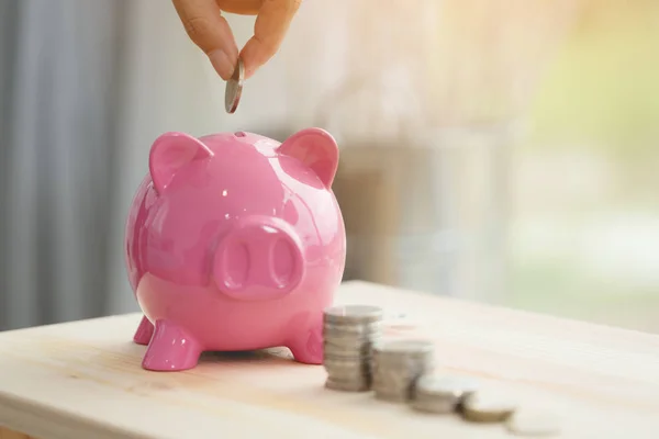 Kleine Hand Geld Besparen Roze Spaarvarken — Stockfoto