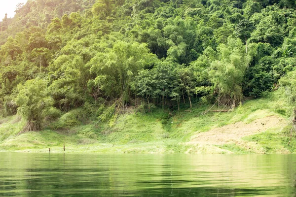 Tropischer Regenwald Mitten Thailand Nakhonnayok Thailand lizenzfreie Stockfotos