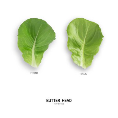 Marul tereyağı kafa yaprak salata izole kırpma yolu beyaz zemin üzerine yapılmış yaratıcı düzeni