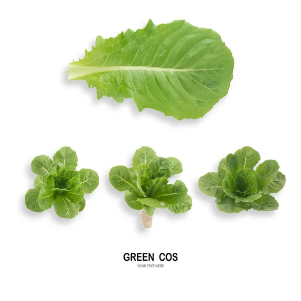 Kreatives Layout Aus Salat Grün Cos Blattsalat Isoliert Auf Weißem — Stockfoto