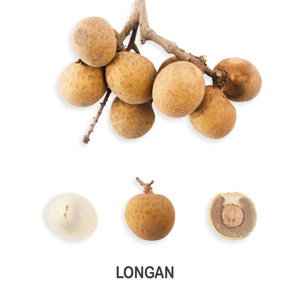 Longan Shell Casing Longan White Background Clipping Paths — Stock Photo, Image