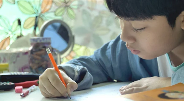 Asijské Dítě Čtení Psaní Domácích Úkolů Doma Asijské Boy Dělá — Stock fotografie
