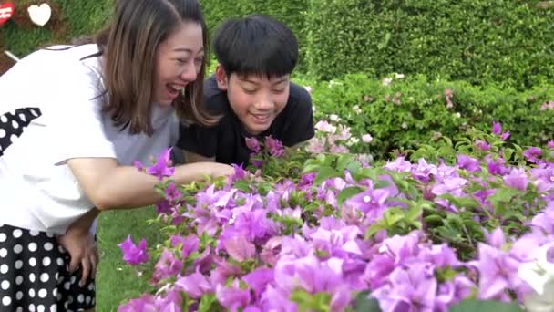 Feliz Asiática Familia Madre Hijo Mirando Rosa Flor Grabado Cámara — Vídeo de stock