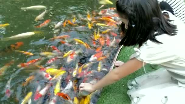 アジアの子は 庭の池で魚の餌付け 子供が哺乳瓶から液体の特別なエサで鯉鯉魚をフィードします — ストック動画