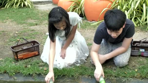 Азіатський Дитини Годування Риб Садовому Ставку Діти Годувати Коропів Коі — стокове відео