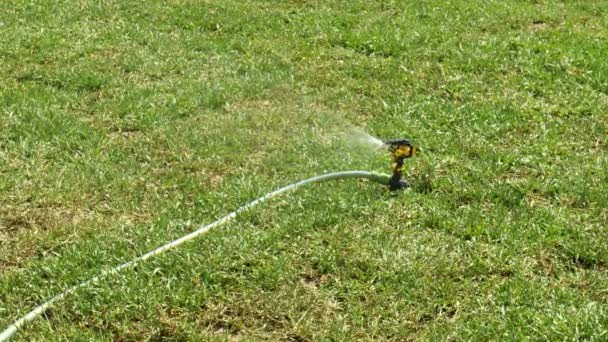 Garden Irrigation Sprinkler Watering Lawn — Stock Video