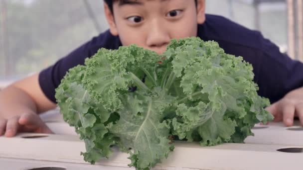 Happy Asian Little Boy Green Salad Healthy Nutrition Expressing Happy — Stock Video