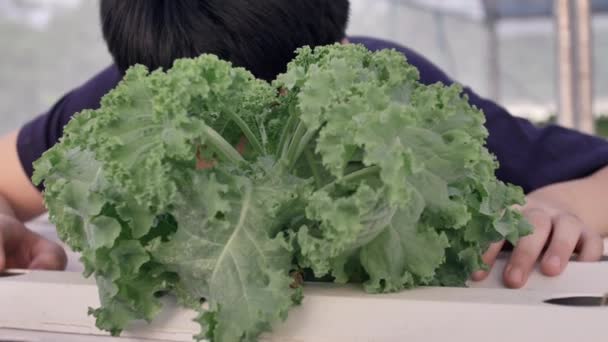 快乐的亚洲小男孩用绿色沙拉健康营养 表示很高兴吃蔬菜 — 图库视频影像