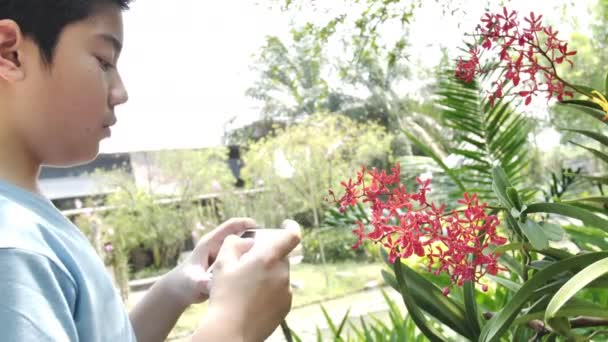 Feliz Asiático Criança Menino Tomar Foto Com Bela Orquídea Flor — Vídeo de Stock