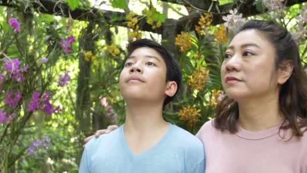 Feliz Asiático Familia Madre Hijo Caminando Orquídea Jardín Con Sonrisa — Vídeos de Stock