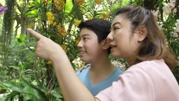 笑顔で蘭の庭を歩く幸せなアジアの家族の母と息子 — ストック動画