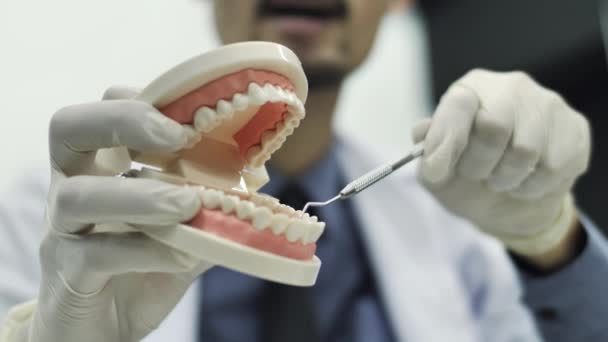 Dentysta Pokazując Aparat Jak Korzystać Narzędzia Dentysta Pokazując Model Szczęki — Wideo stockowe