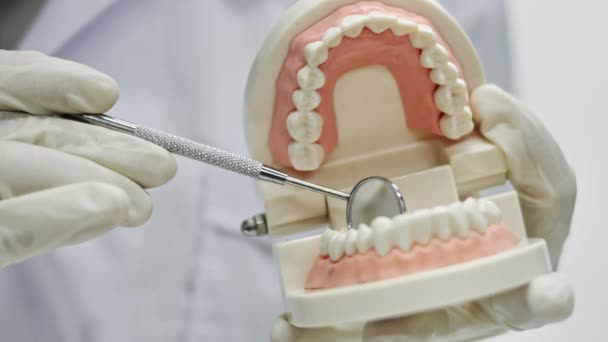 歯科医は ツールの使用方法をカメラに示しています 顎モデルを示す歯科医 適切な歯と口腔ケアのレッスンを与える — ストック動画