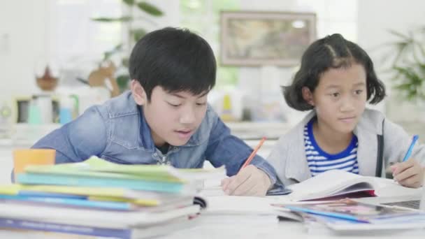 Unga Pojkar Använder Datorer För Att Undervisa Och Förklara Läxor — Stockvideo