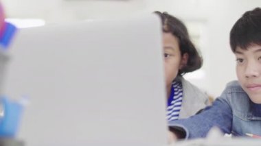 Genç çocuklar ev ödevlerini öğretmek ve açıklamak için bilgisayar kullanıyorlar. Yüz ifadeleri ve mutlu jestleri olan arkadaşlara, Dolly 60fps atıyor..