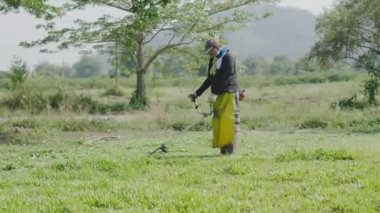 Yaşlı adam ön bahçede çim biçme makinesi kullanıyor. Bahçıvan çim biçme makinesiyle çim leri kesiyor. 60fps