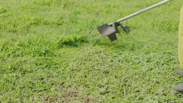 Feche Homem Usando Cortador Grama Jardim Frente Jardineiro Cortando Grama — Vídeo de Stock