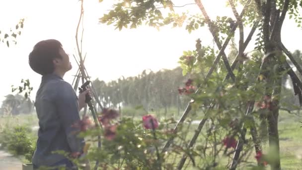 Азиатский Мальчик Поливает Растения Саду Шланга Медленное Движение Ребенка Брызги — стоковое видео