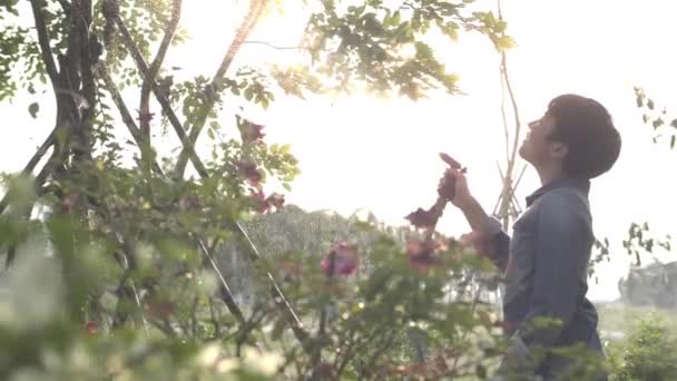 アジアの若い男の子は ホースで庭に植物を散水 ホースを使って緑の庭で遊んで植物に水をやる幸せな少年のハンドヘルドショット 60Fps — ストック動画