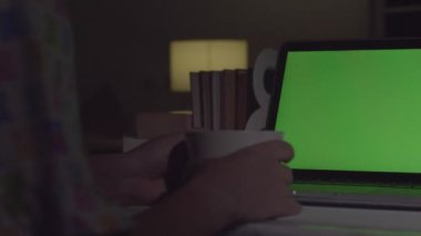 Evde yeşil ekranlı dizüstü bilgisayarda çalışan bir kadın. Krom anahtar. Arkadan bak.. 