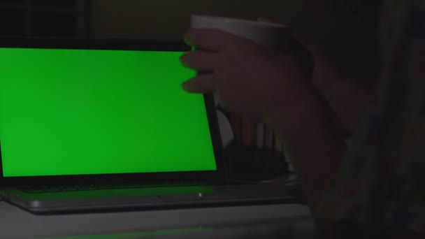 Donna Che Lavora Sul Computer Portatile Con Schermo Verde Casa — Video Stock