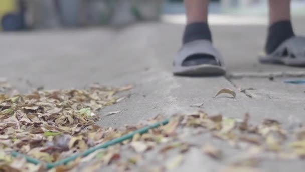 Φθινοπωρινός Περίπατος Άγνωστη Γυναίκα Που Σκουπίζει Φύλλα Σκούπα Στο Πάρκο — Αρχείο Βίντεο