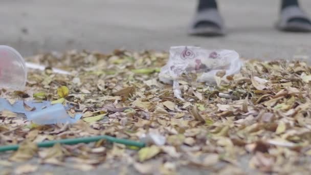 Φθινοπωρινός Περίπατος Άγνωστη Γυναίκα Που Σκουπίζει Φύλλα Σκούπα Στο Πάρκο — Αρχείο Βίντεο