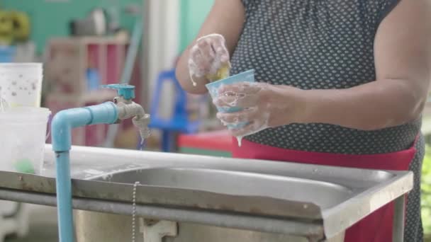 Vrouw Worden Vet Wassen Gerechten Keuken Close Van Vrouw Hand — Stockvideo